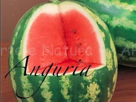 anguria
