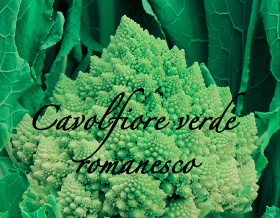 cavolfiore verde romanesco aps vivai piante orticole