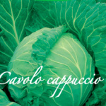 cavolo cappuccio