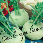 cavolo rapa bianco
