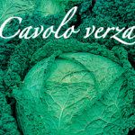 cavolo verza