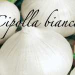 cipolla bianca