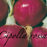 cipolla rossa