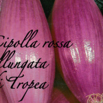 cipolla rossa allungata di tropea.png