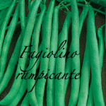 fagiolino rampicante