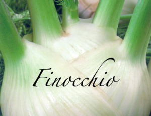 finocchio