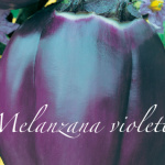 melanzana violetta