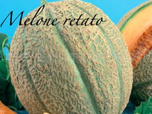 melone retato