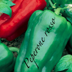 peperone rosso