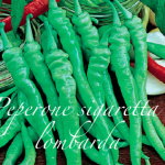 peperone sigaretta lombarda.png