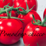 pomodoro chicco