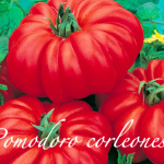pomodoro corleonese.png