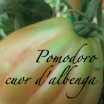 pomodoro cuore d'albenga