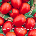 pomodoro fiaschetto