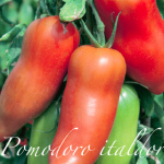 pomodoro italdor.png