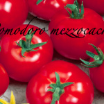 pomodoro mezzocachi.png