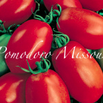pomodoro missouri.png
