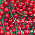 pomodoro naomi.png