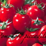 pomodoro piccadilly.png