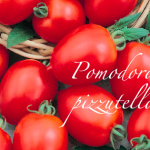 pomodoro pizzutello.png