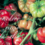 pomodoro riccio da salsa.png