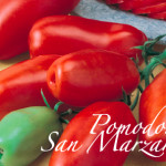 pomodoro san marzano