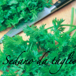 sedano da taglio