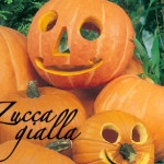 zucca gialla