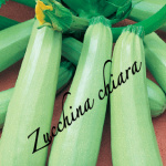 zucchina chiara