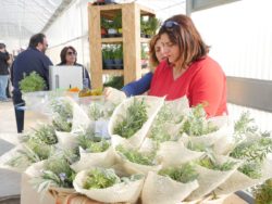 Un pranzo aromatico al vivaio - aps vivai