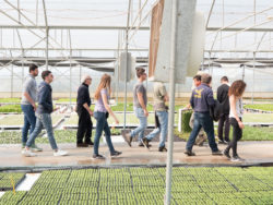 marzo 2017 aps vivai lo speziale - istituto professionale