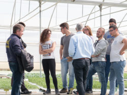 marzo 2017 aps vivai lo speziale - istituto professionale