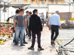 marzo 2017 aps vivai lo speziale - istituto professionale